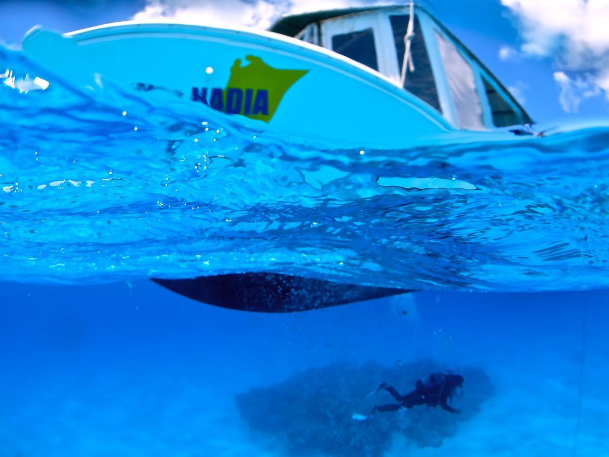 Ishigakijima Guesthouse Seacoro Ishigaki  Dış mekan fotoğraf
